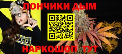 гидра Ставрополь