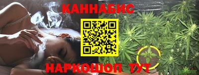 гидра Ставрополь
