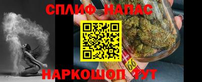 гидра Ставрополь