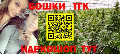 гидра Ставрополь