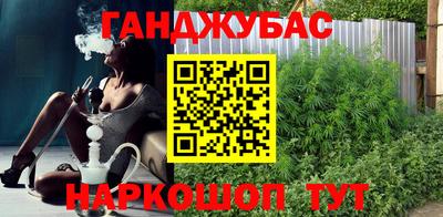 гидра Ставрополь