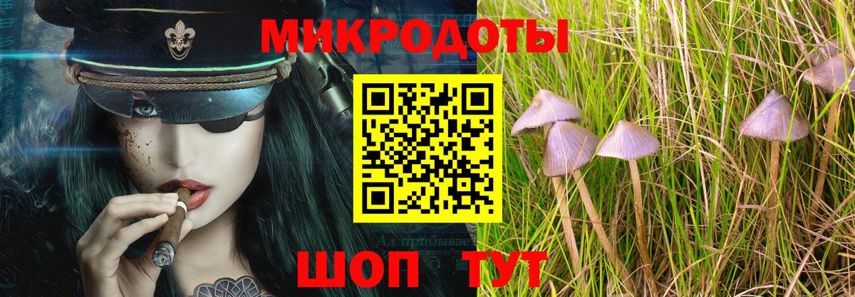 Псилоцибиновые грибы Magic Shrooms Баксан